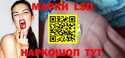 спайс Кунгур
