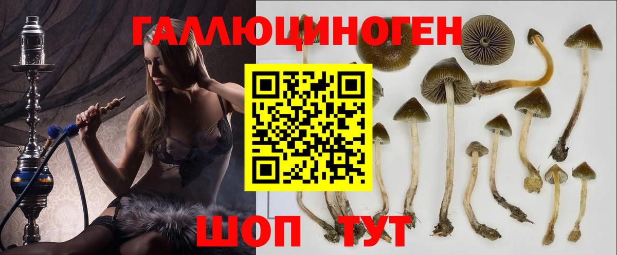 Псилоцибиновые грибы Psilocybine cubensis  Вход с VPN  Маркс 